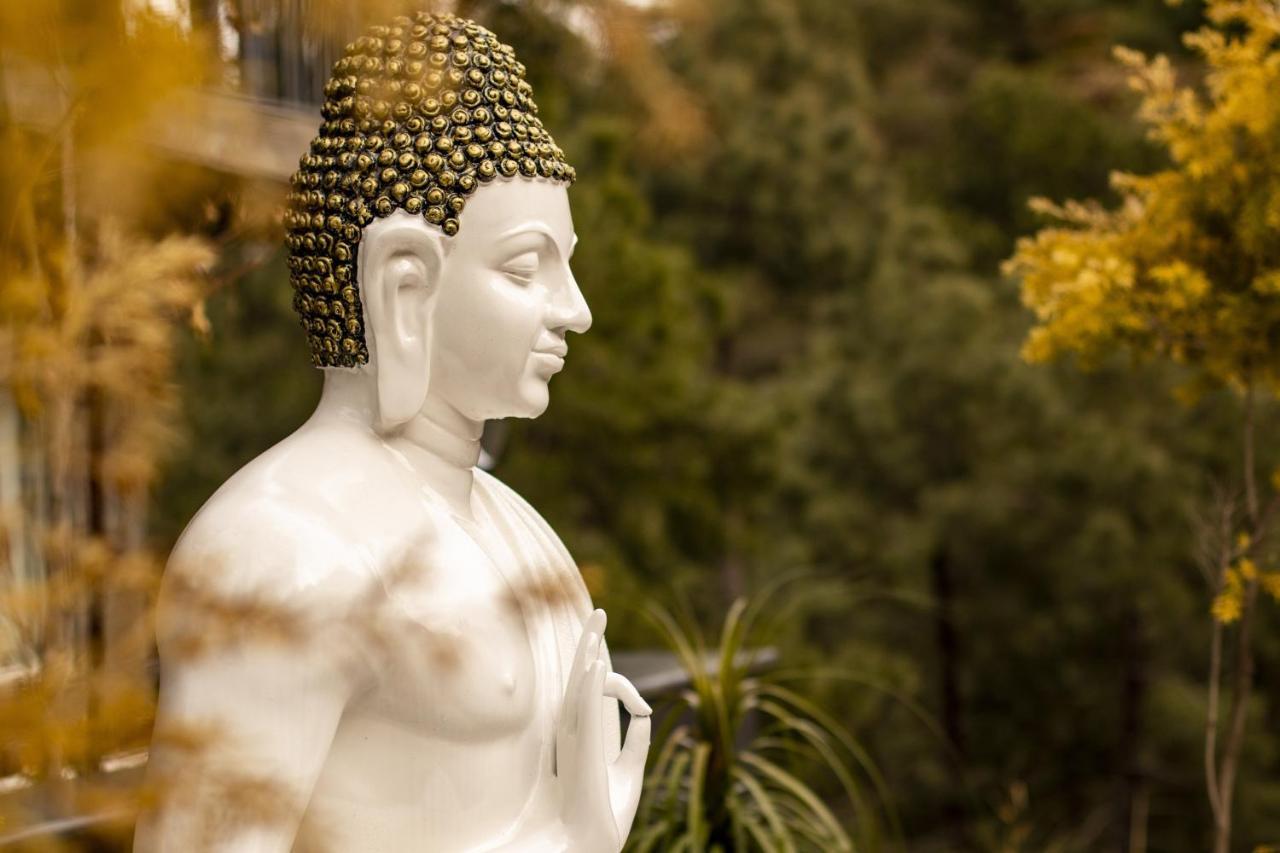 Golden Fern Resort Σίμλα Εξωτερικό φωτογραφία
